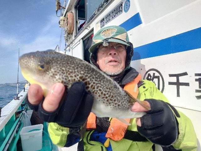 ショウサイフグ