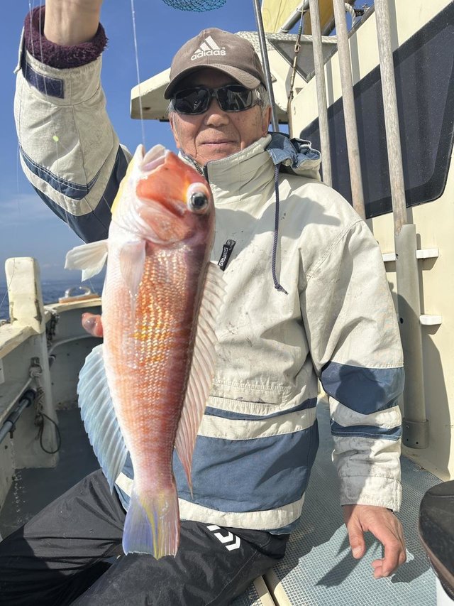 アマダイ(アカアマダイ)