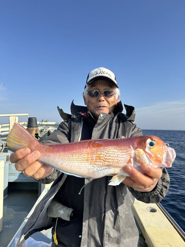 アマダイ(アカアマダイ)