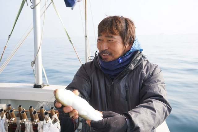 ショウサイフグ