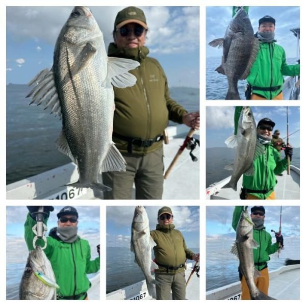 シーバス(スズキ)