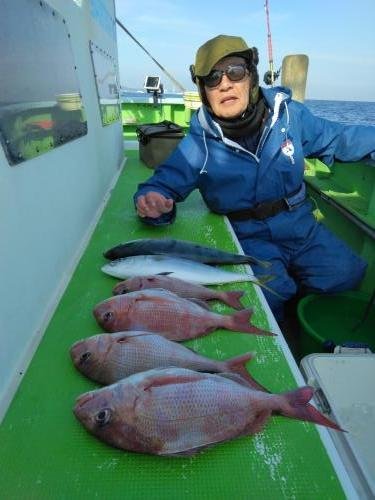 マダイ・イナダ(ブリ)