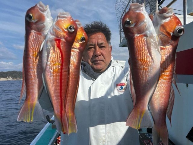 アマダイ(アカアマダイ)