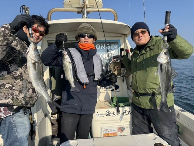 シーバス(スズキ)