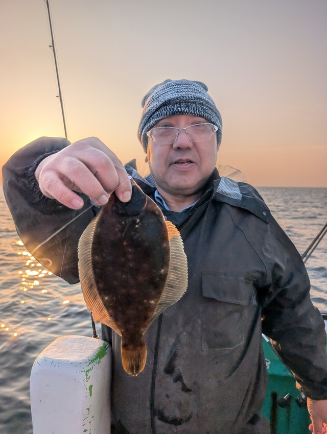 カレイ(マコガレイ)