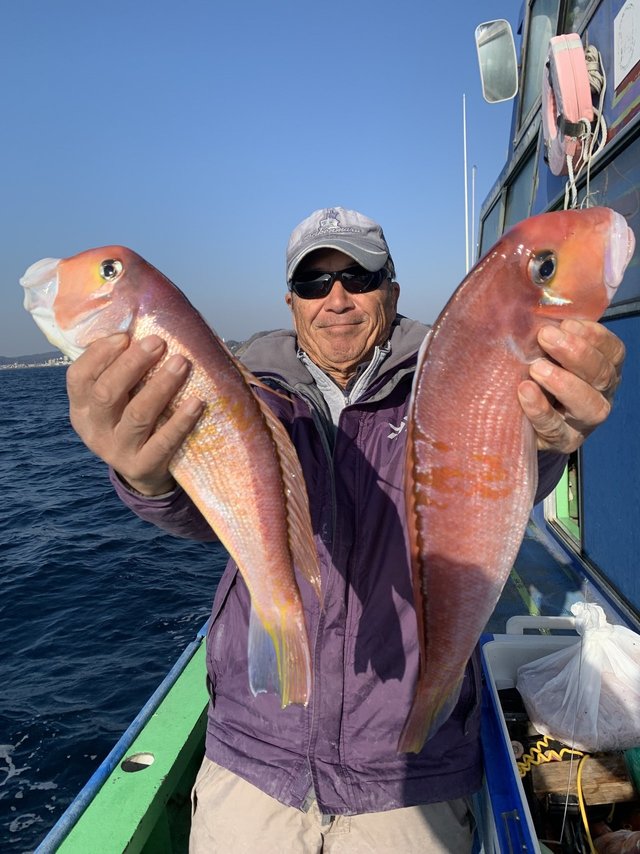 アマダイ(アカアマダイ)