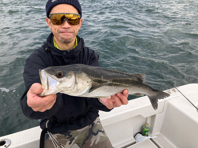 シーバス(スズキ)