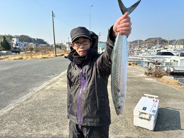 サゴシ(サワラ)