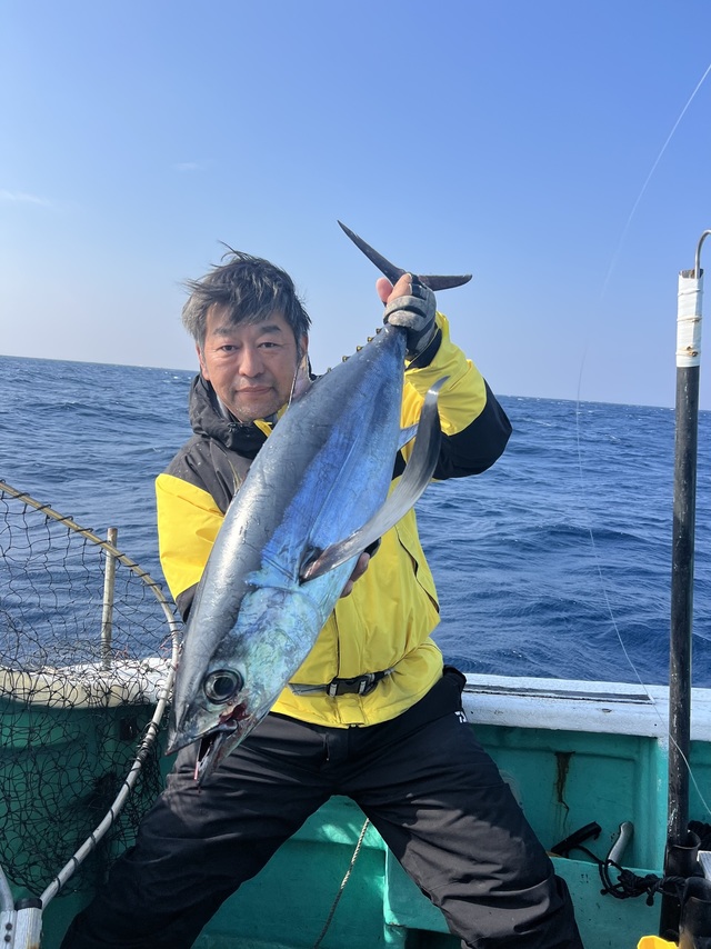 ビンチョウマグロ(ビンナガ)