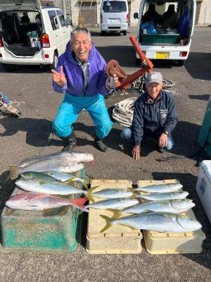 マダイ・ブリ・ハマチ(ブリ)・メジロ(ブリ)