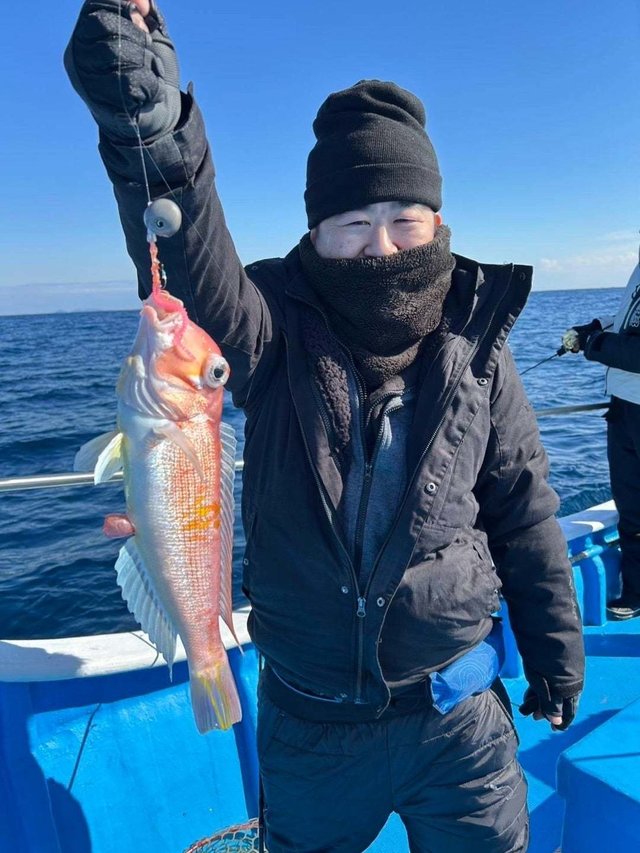 アマダイ(アカアマダイ)