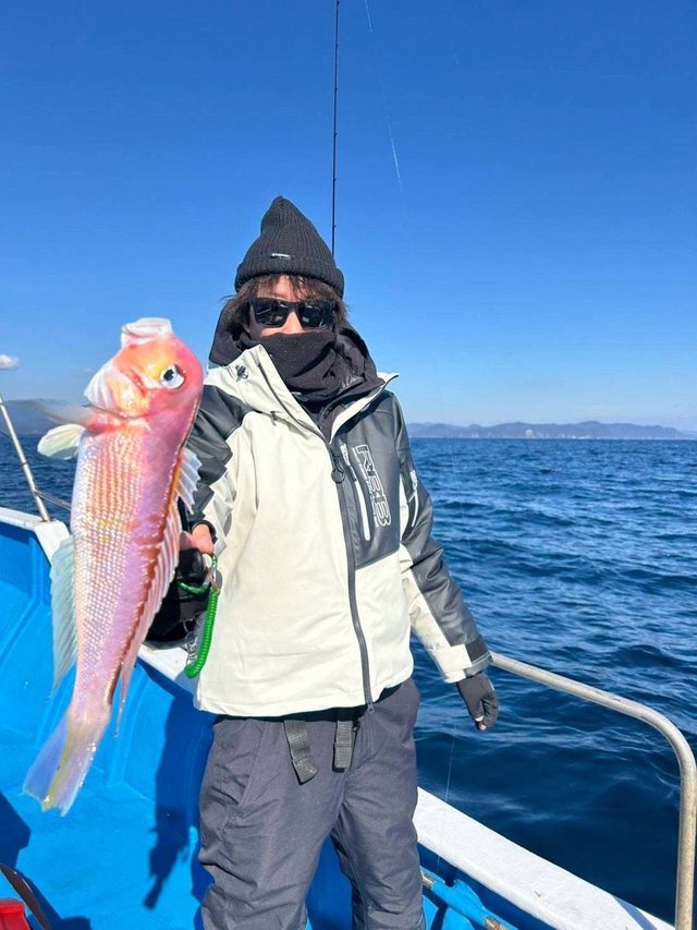 アマダイ(アカアマダイ)