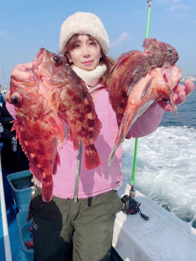 ガシラ(カサゴ)