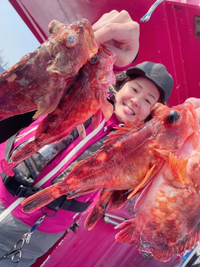 ガシラ(カサゴ)