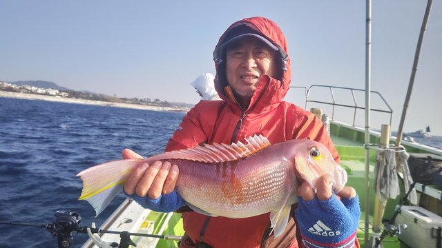 アマダイ(アカアマダイ)