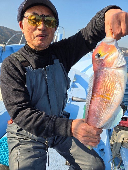 アマダイ(アカアマダイ)