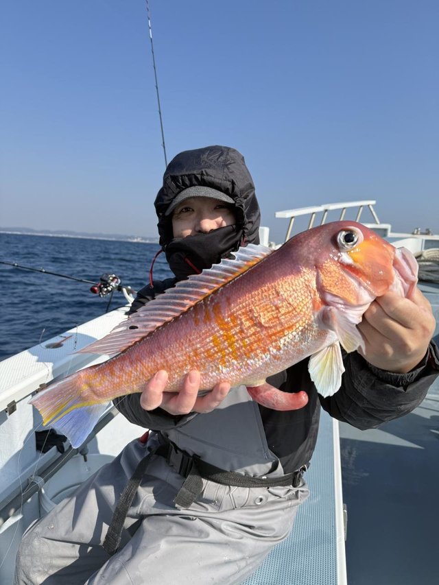 アマダイ(アカアマダイ)