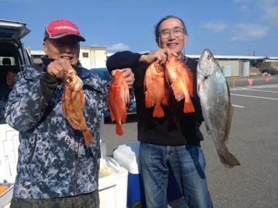 ニベ・キントキ(チカメキントキ)・メバル