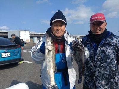 スズキ・ソイ(クロソイ)