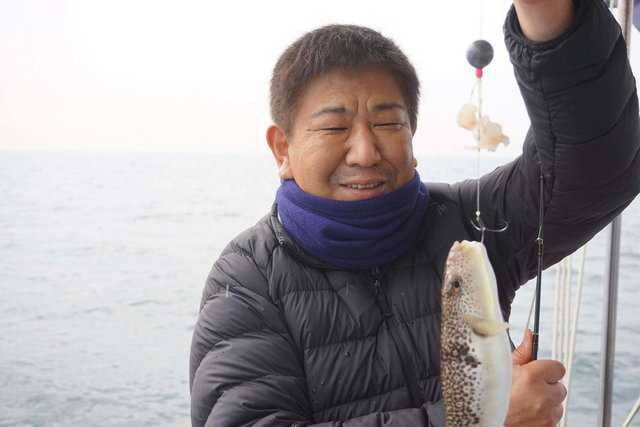 ショウサイフグ