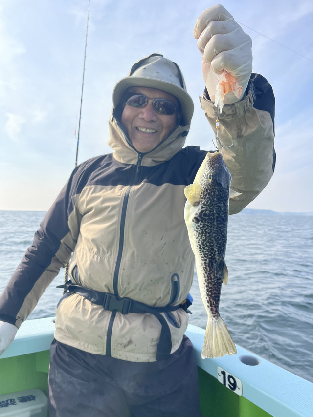 フグ(ショウサイフグ)