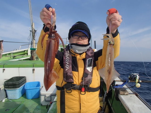 ヤリイカ・スルメ(スルメイカ)