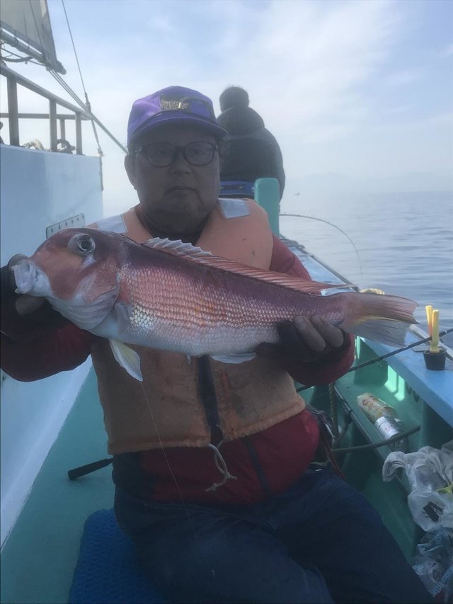 アマダイ(アカアマダイ)