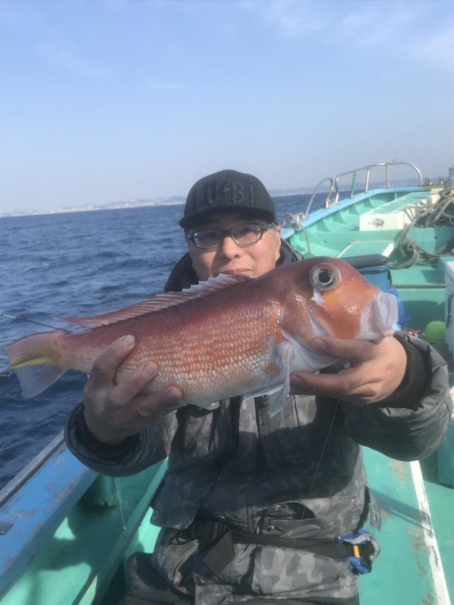 アマダイ(アカアマダイ)