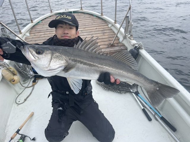 シーバス(スズキ)