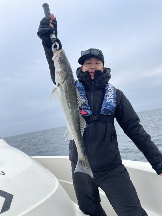 シーバス(スズキ)