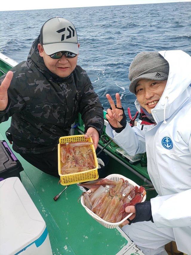 マルイカ(ケンサキイカ)