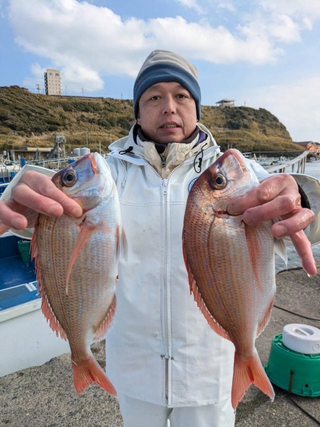 ハナダイ(チダイ)