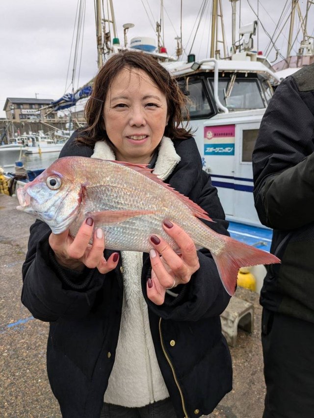 ハナダイ(チダイ)