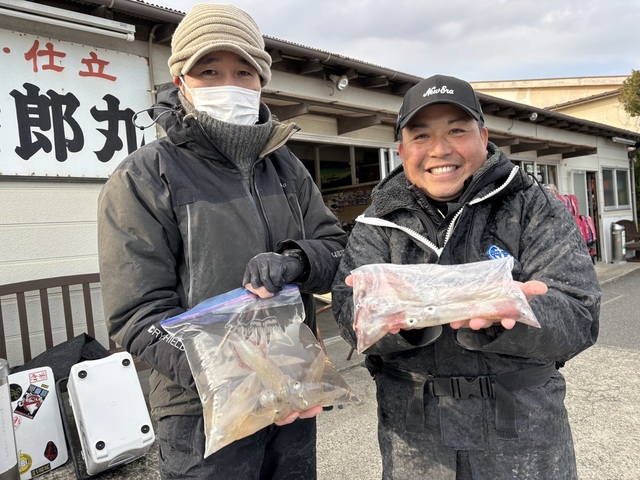 マルイカ(ケンサキイカ)