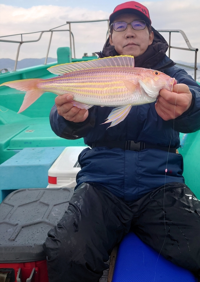 イトヨリ(イトヨリダイ)