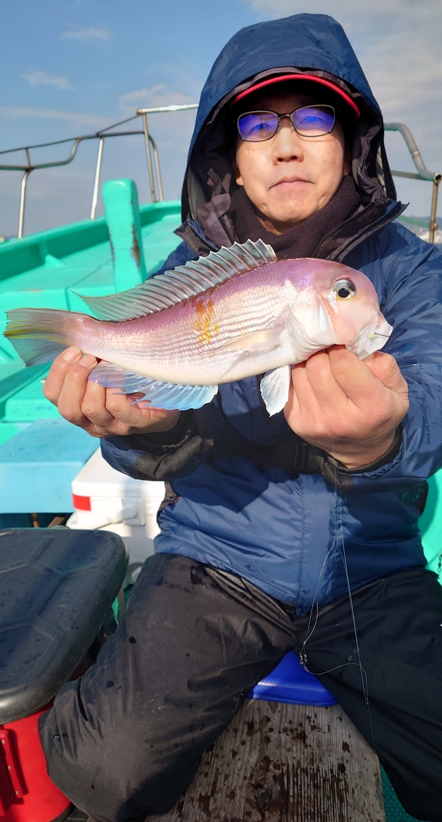 アマダイ(アカアマダイ)