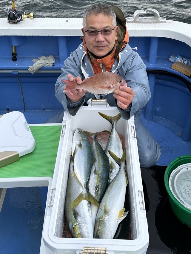 マダイ・イナダ(ブリ)