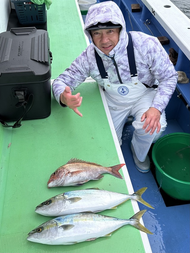 マダイ・イナダ(ブリ)