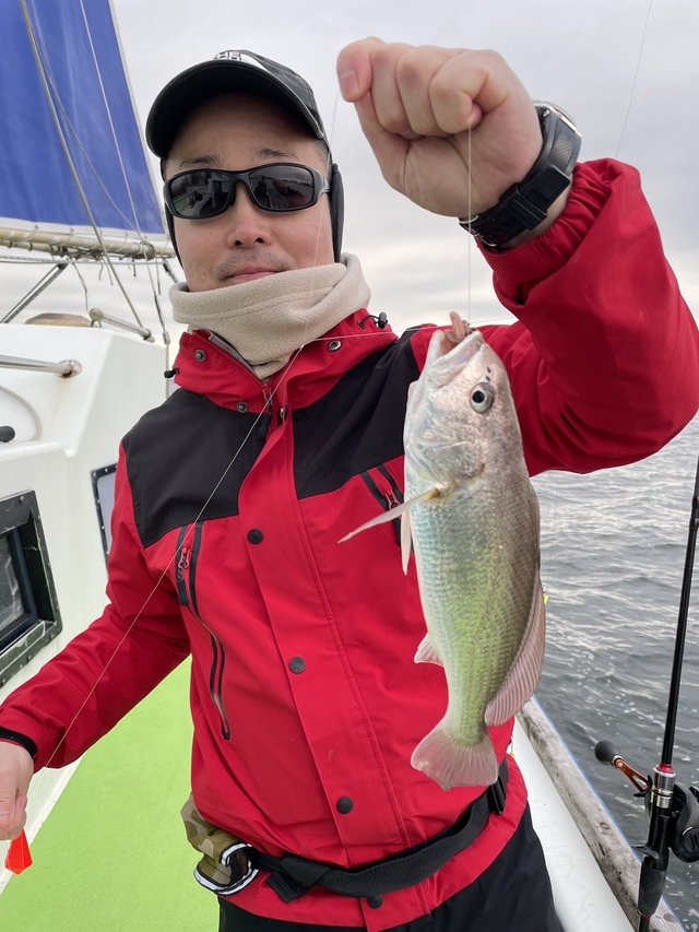 イシモチ(シログチ)