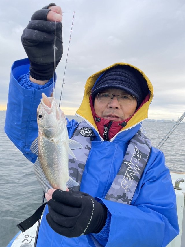 イシモチ(シログチ)