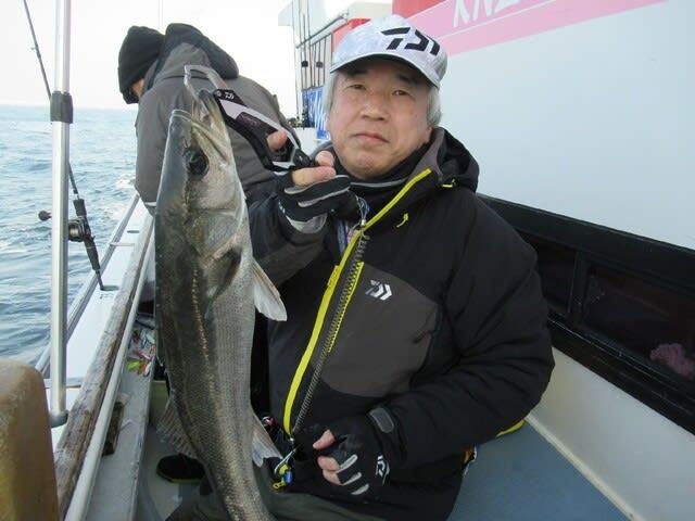 シーバス(スズキ)