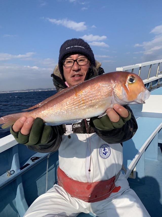 アマダイ(アカアマダイ)