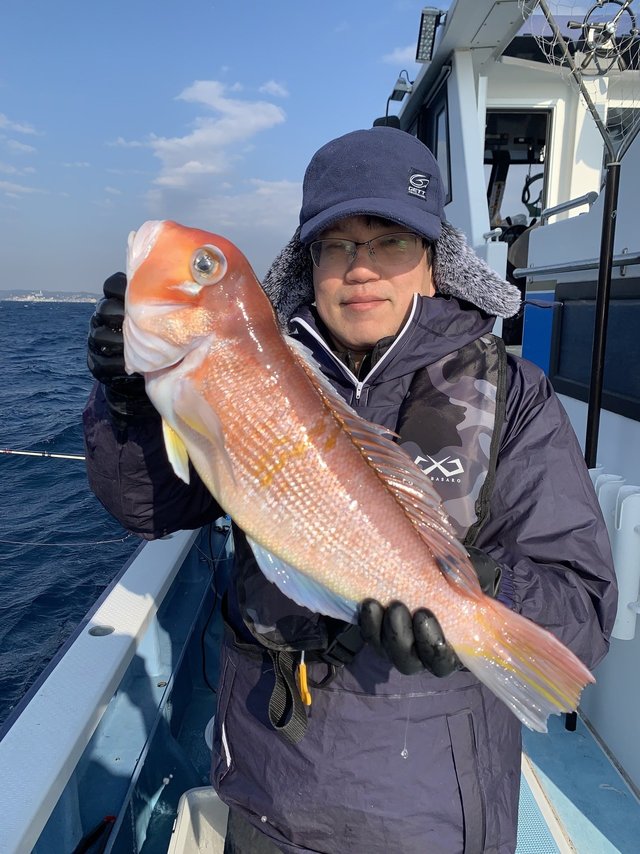 アマダイ(アカアマダイ)