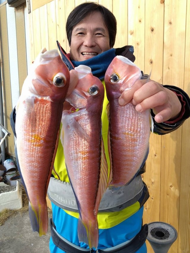 アマダイ(アカアマダイ)