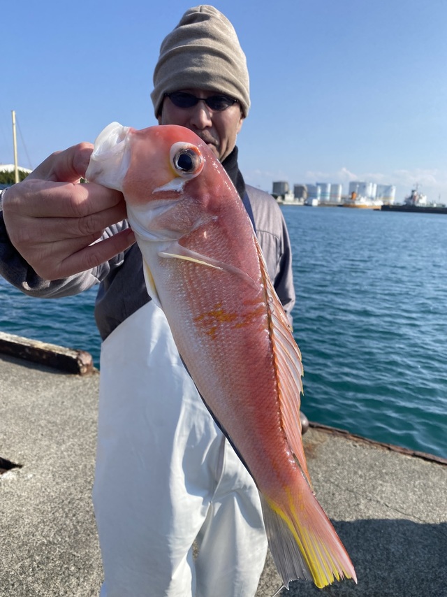 アマダイ(アカアマダイ)