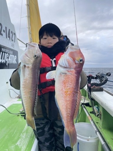 アマダイ(アカアマダイ)・シロアマダイ