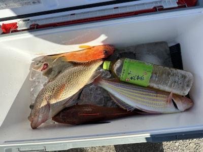 マダイ・アオハタ・アカハタ・オオモンハタ