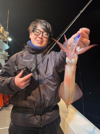 マイカ(ケンサキイカ)