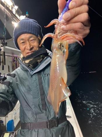 マイカ(ケンサキイカ)