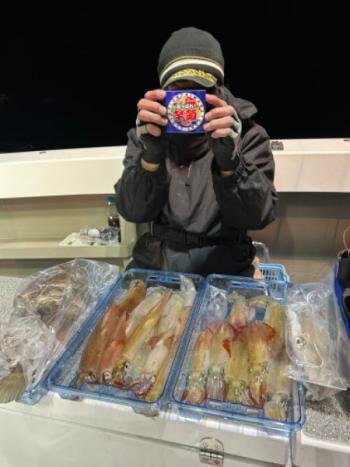 マイカ(ケンサキイカ)